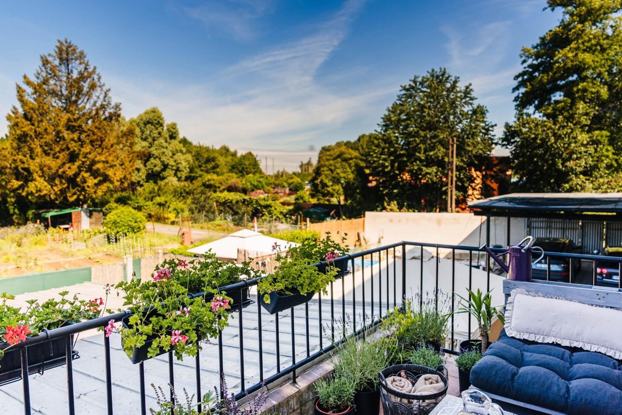 Silvie Apartments - Lazecka Alamóc Kültér fotó